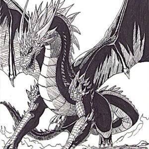 illustration/dessin/print de Matmangart à l'encre de chine d'un dragon atterrissant au sol