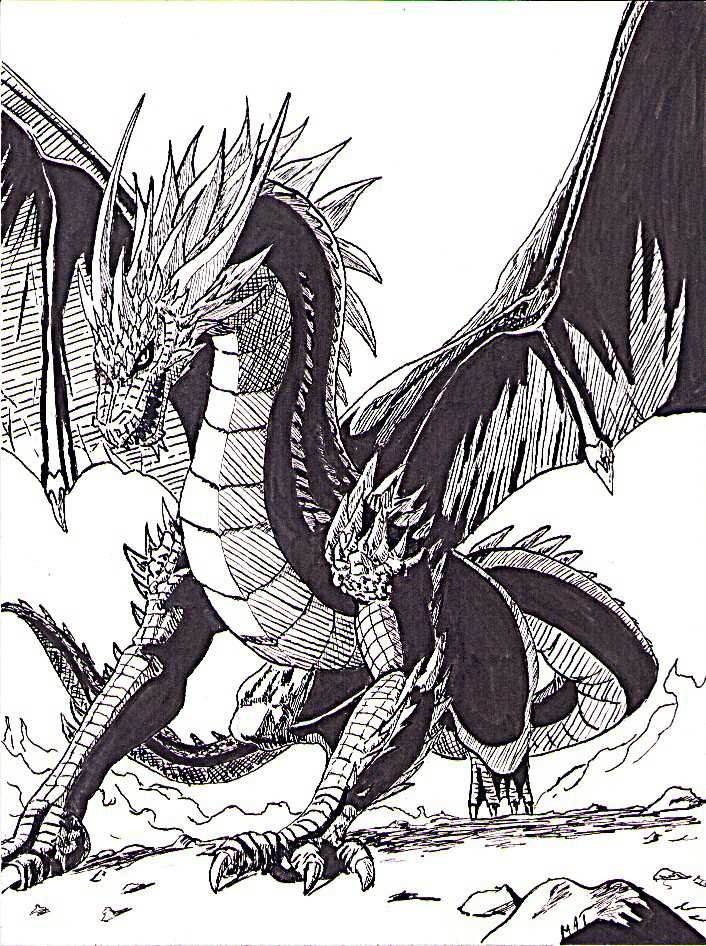 illustration/dessin/print de Matmangart à l'encre de chine d'un dragon atterrissant au sol